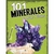 101 MINERALES ROCAS Y FOSILES