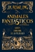 ANIMALES FANTASTICOS Y DONDE ENCONTRARLOS GUION ORIGINAL DE LA PELICULA