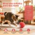 Bola Inteligente Brinquedo Interativo Automático Gato E Cachorros
