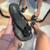 Flat Jasmine Preta - comprar online
