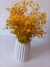 Flores Preservadas Decorativas en internet
