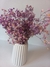 Flores Preservadas Decorativas - Decoraciones Ale y Gaby
