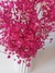 Flores Preservadas Decorativas - tienda online
