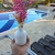 Flores Preservadas Decorativas en internet