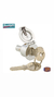 Cerradura de dirección SCOOTOPIA, manillar, para Lambretta 125 LI 1°-2°/​150 LI 1°-2°/​175 TV 1°-2° - tienda online