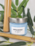 Vela Aromática Bambu Orig. (Tropical Suave) - loja online