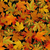 Tela Patchwork HARVEST-CM1289-BLA