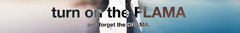 Banner de la categoría MaFla