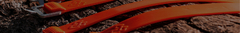 Banner de la categoría Starck