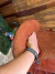 Cutuca acento de sela australiana Completo 16”/42 - Selaria Barbosa 