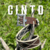 Cintos Couro Legitimo 