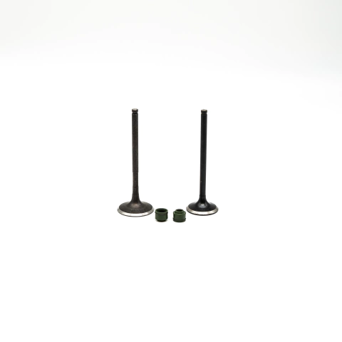 Kit de Válvulas Hero Hunk 160R