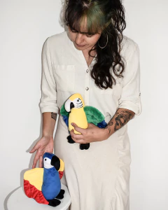 Guacamayas en internet