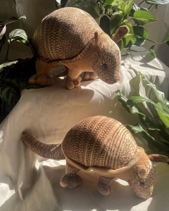 Armadillo - Garabato de Vida