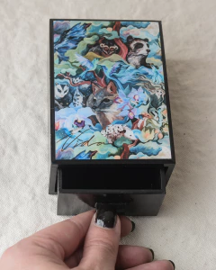 Imagen de Mini Cofre Guardianes