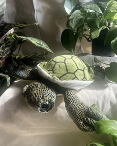 Tortugas - Garabato de Vida