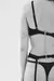 CONJUNTO MICROTUL en internet