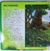 Dinosaurios. Herbivoros Asombrosos Libro Con 3 Rompecabezas - Sandangelo