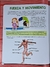Mi Gran Libro Del Cuerpo Humano en internet