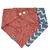 Imagen de Set de 2 bandanas estampadas