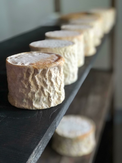 Queijo Artesanal Maria Nunes – Casca Florida Merendeiro