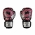 Guantes Boxeo Dragons Fit