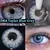 DNA BLUE GRAY (2 lentes)