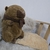 Peluche 3 en 1 - lamanolitamayorista