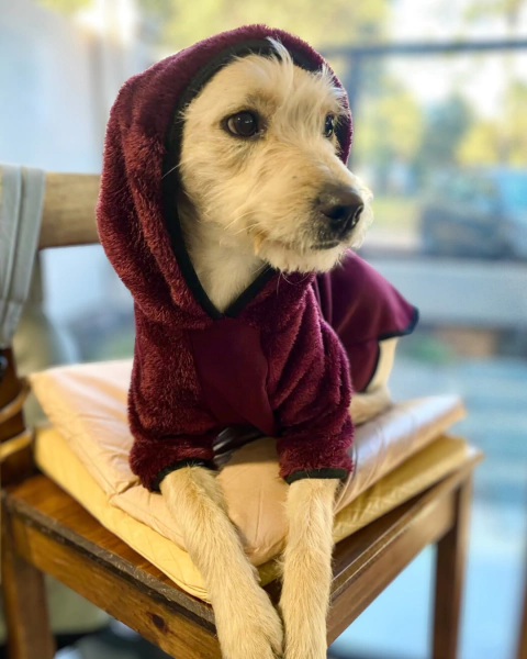 Indumentaria - Polar Bariloche - comprar online