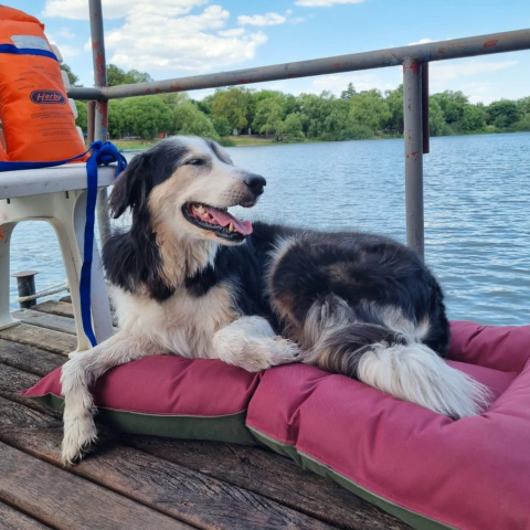 Colchoneta - Antidesgarro por ambos lados - comprar online