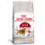 Royal Canin - Fit Gato Adulto 15kg