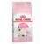 Royal Canin - Gato Cachorro 1.5kg
