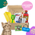 Box - Gato cachorro