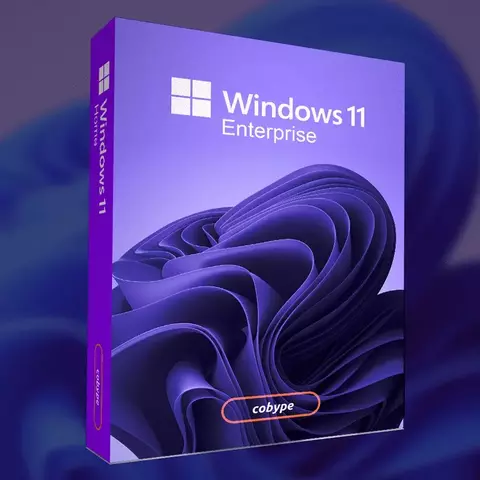 Windows 11 Enterprise ESD