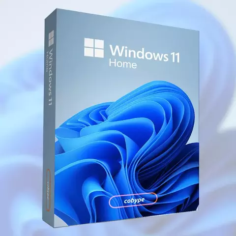 Windows 11 Home ESD