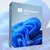 Windows 11 Home ESD