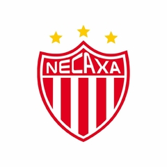 Banner de la categoría Club Necaxa