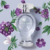 New Acqua Fresca Desodorante Colônia 100ml na internet