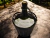 Damajuana Vino Blanco Chardonnay 4,750ml