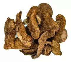 Hongos de Pino - comprar online