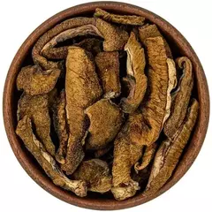 Hongos de Pino