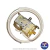 TERMOSTATO ELECTROLUX DC37- -AGT-T9012 TSV9011-09 AGETHERM - loja online
