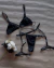 Conjunto Vênus + Cinta Liga - Louise Lingerie