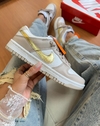 Dunk Low Pro Bege/Dourado - comprar online
