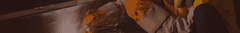 Banner da categoria Mangotes