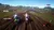 MXGP 2019 - The Official Motocross Videogame Para PS4/PS5 on internet