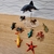 Kit com 12 Animais Marinhos Pequenos