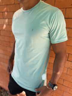 CAMISETA BÁSICA VERDE CLARO - comprar online