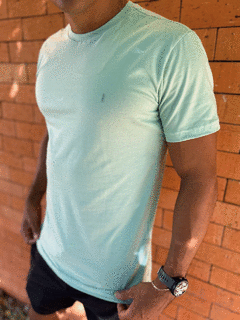 CAMISETA BÁSICA VERDE CLARO - comprar online