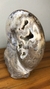 Amonite Shloenbacchia sp. - comprar online
